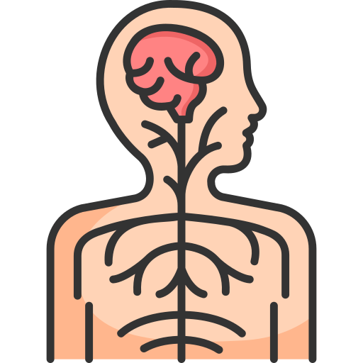 Supports Relaxation & Nervous System Calm