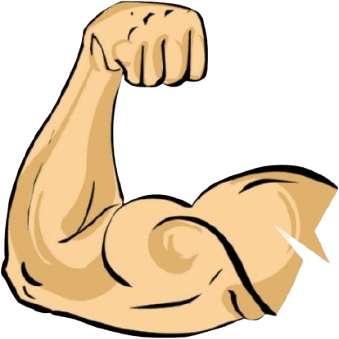 Supports  Muscle Maintenance