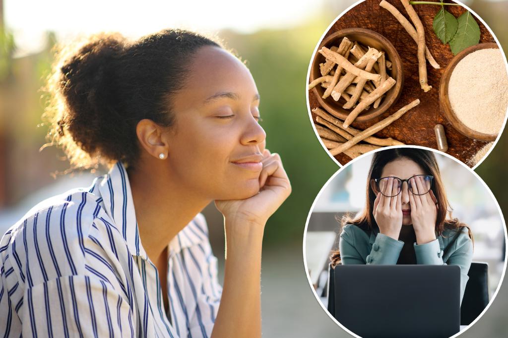 How Stress & Adaptogens Work (Human Explanation)