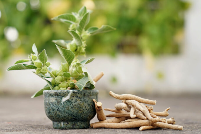 Why People End Up Searching for Ashwagandha (“All Roads Lead to Stress & Recovery”)