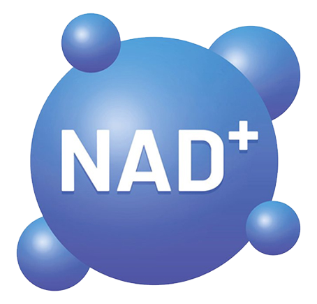 Focuses on NMN and cellular energy