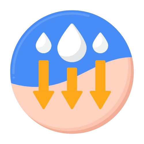 Clean &  High-Absorption Formula